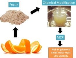 Modified Citrus Pectin (MCP) Capsules (60) - Uno Vita AS