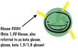 Mushroom Immune with Beta Glucans (30) - Uno Vita AS