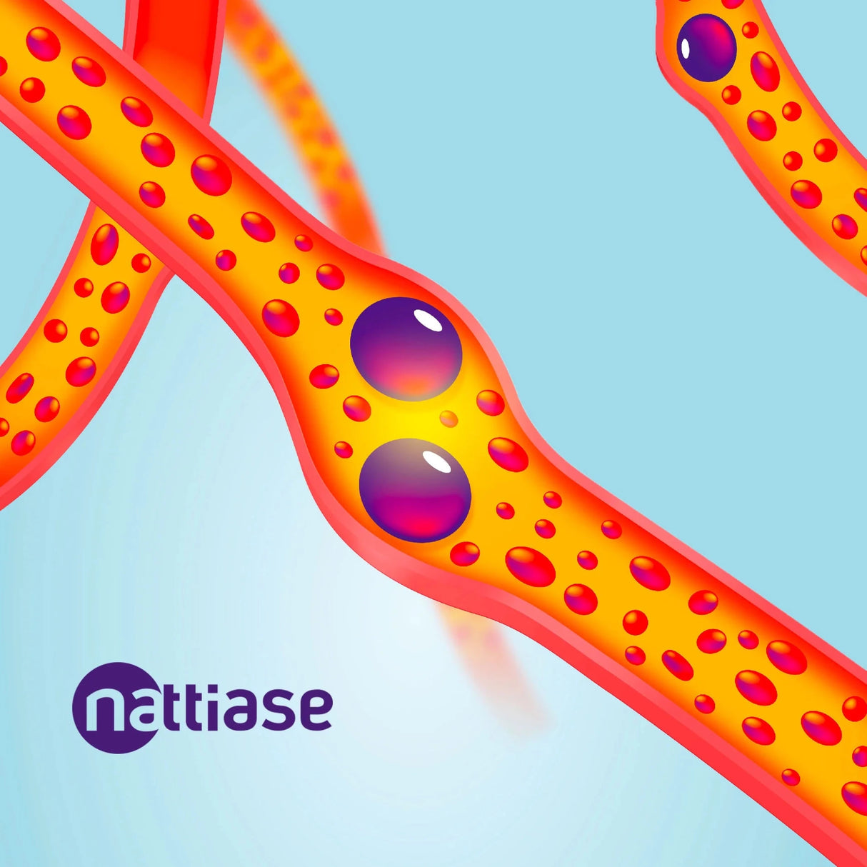 Nattokinase Capsules (2000 FU - 100mg) - Uno Vita AS