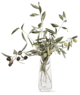 OLIVIE Anti - Age - The Ultimate Organic Anti - Aging Solution - Uno Vita AS