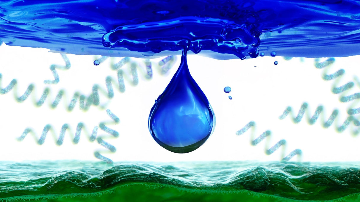 PHYCOCYANIN - The Heart of Spirulina and 10K Phycocyanin - Uno Vita AS