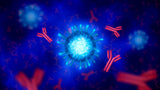 PHYCOCYANIN - The Heart of Spirulina and 10K Phycocyanin - Uno Vita AS