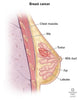 Plant Sterols – Beta - Sitosterol - Uno Vita AS