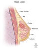 Plant Sterols – Beta-Sitosterol - Uno Vita AS