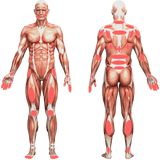 Power Cure Pro Laser - Uno Vita AS