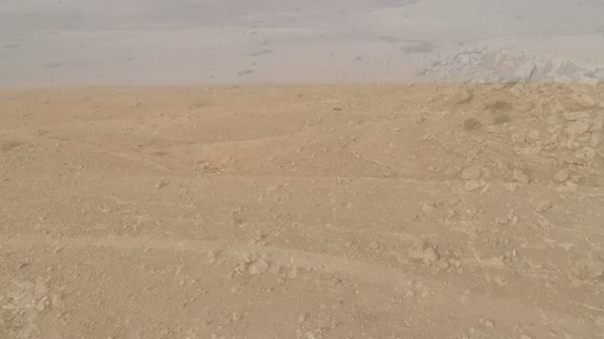 OLIVIE Anti-Age - The Ultimate Organic Anti-Aging Solution