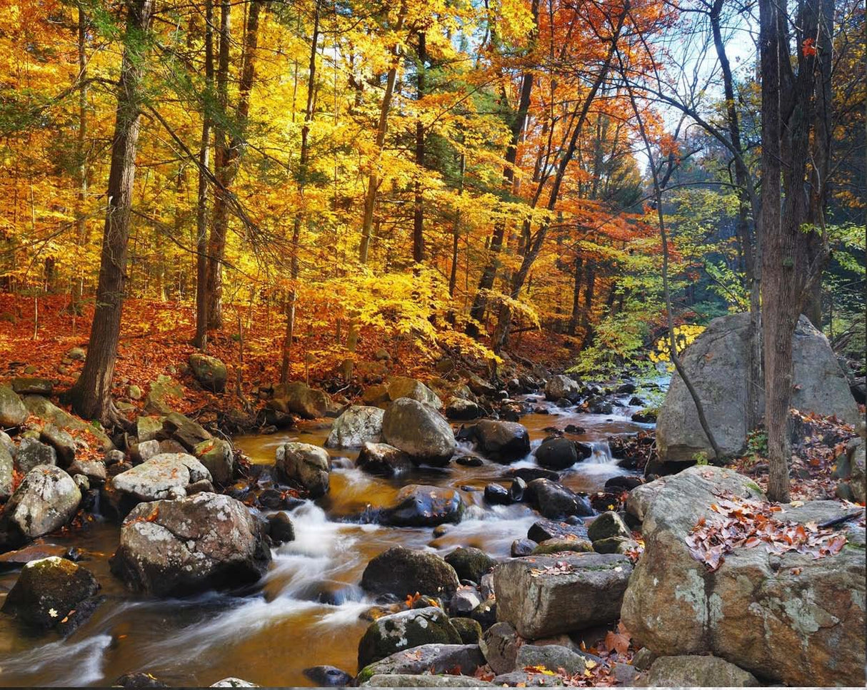 River of Life Vortex Water Revitalizer (1 inch) – Whole House - Uno Vita AS