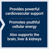 Super Ubiquinol CoQ10 with Enhanced Mitochondrial Support (100 mg - 60 capsules) - Uno Vita AS