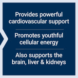 Super Ubiquinol CoQ10 with Enhanced Mitochondrial Support (100 mg - 60 capsules) - Uno Vita AS