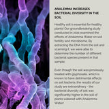 The Analemma Wand - Uno Vita AS