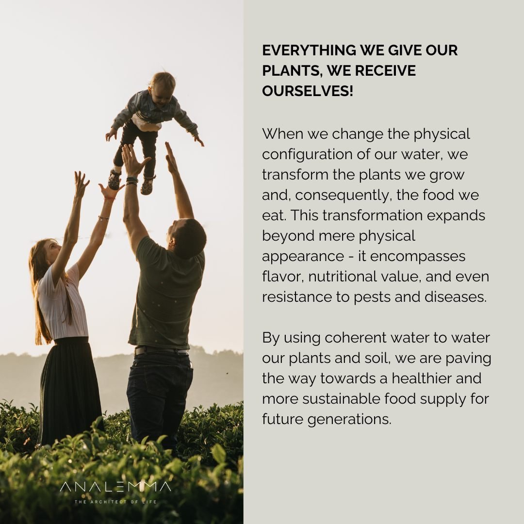 The Analemma Wand - Uno Vita AS