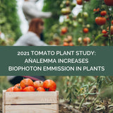 The Analemma Wand - Uno Vita AS