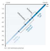 TimeWaver Home version 2 (microcurrent and frequency therapy) - Uno Vita AS