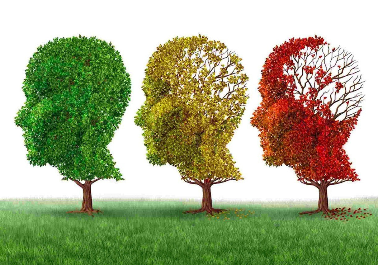 Uno Vita`s C60 in Organic Olive Oil - Uno Vita AS