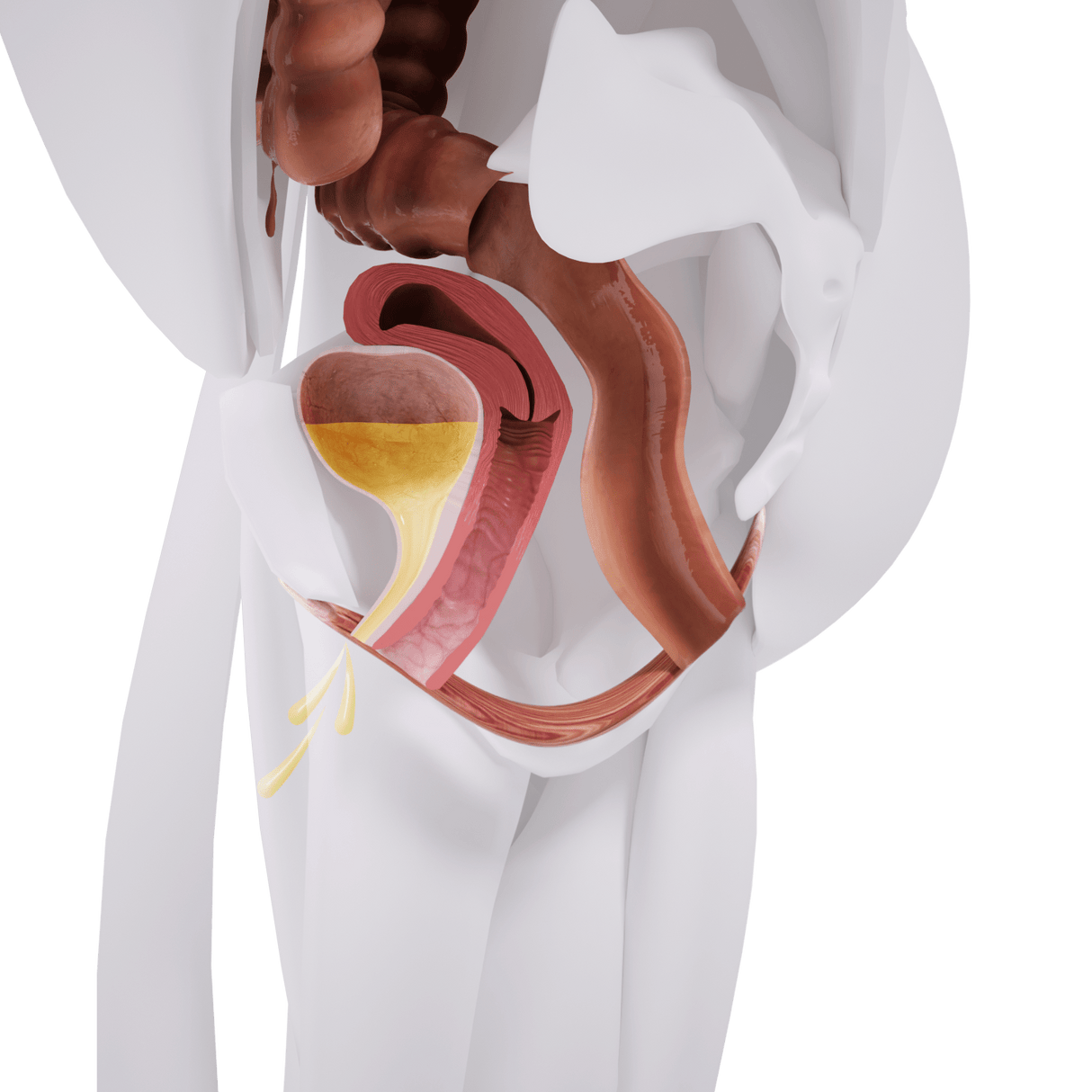 Uno Vita`s EM Chair Mini Pelvic Floor Stimulation - Uno Vita AS