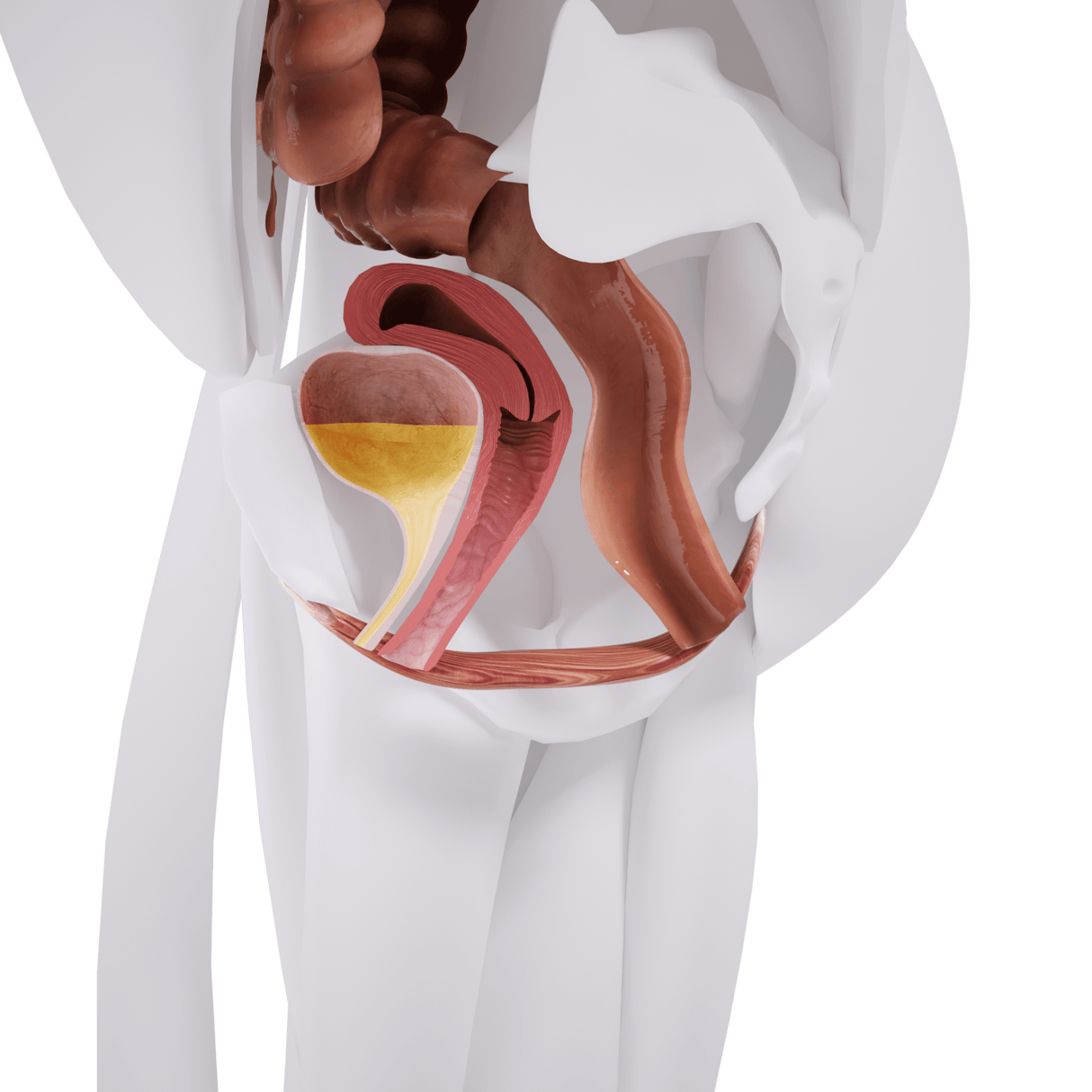 Uno Vita`s EM Chair Mini Pelvic Floor Stimulation - Uno Vita AS