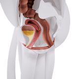 Uno Vita`s EM Chair Mini Pelvic Floor Stimulation - Uno Vita AS