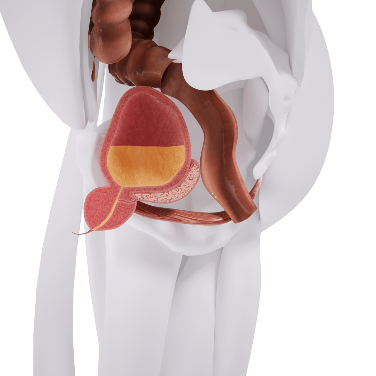 Uno Vita`s EM Chair Mini Pelvic Floor Stimulation - Uno Vita AS