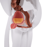 Uno Vita`s EM Chair Mini Pelvic Floor Stimulation - Uno Vita AS