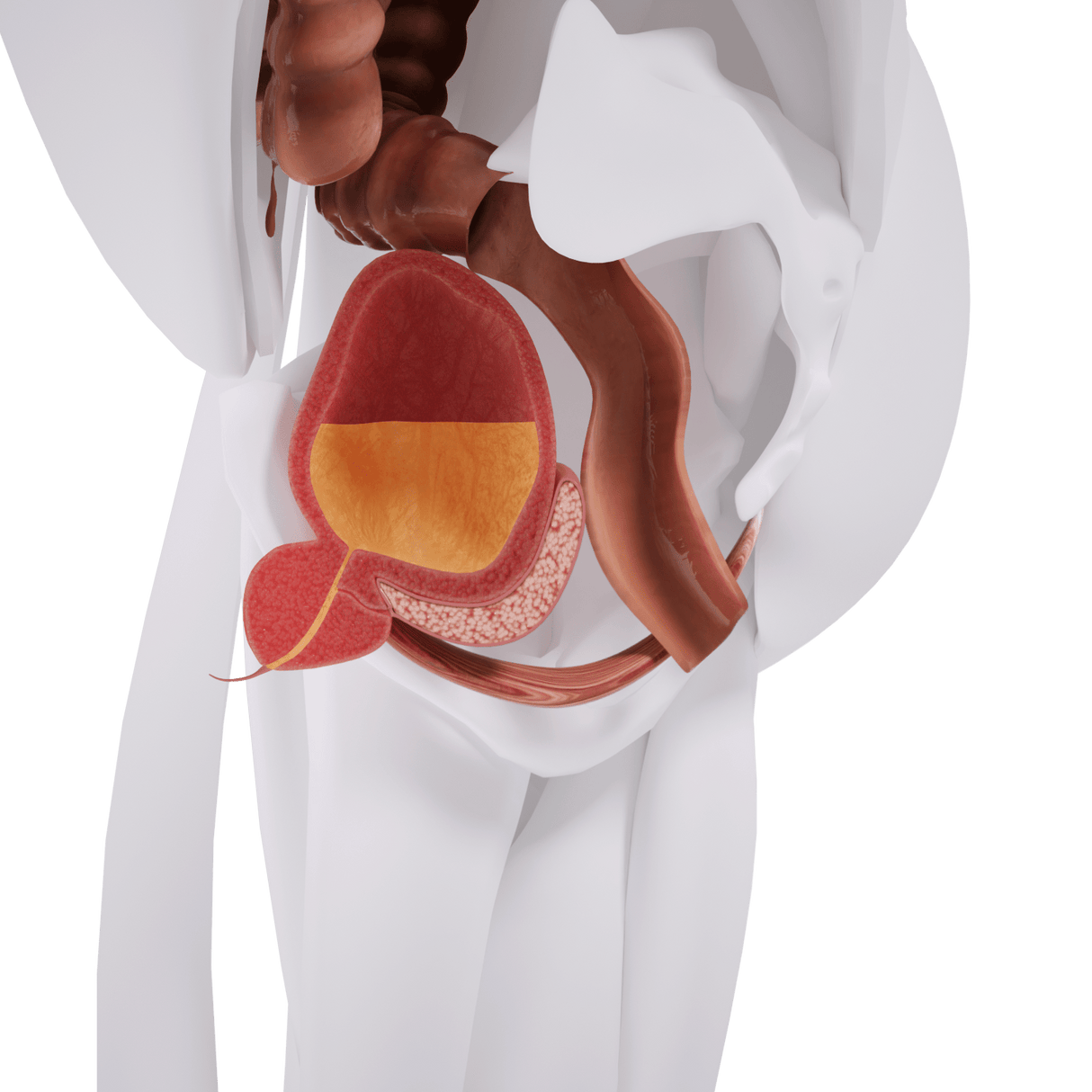 Uno Vita`s EM Chair Mini Pelvic Floor Stimulation - Uno Vita AS