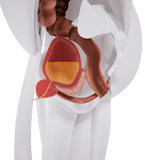 Uno Vita`s EM Chair Mini Pelvic Floor Stimulation - Uno Vita AS