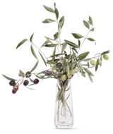 OLIVIE Anti-Age - The Ultimate Organic Anti-Aging Solution