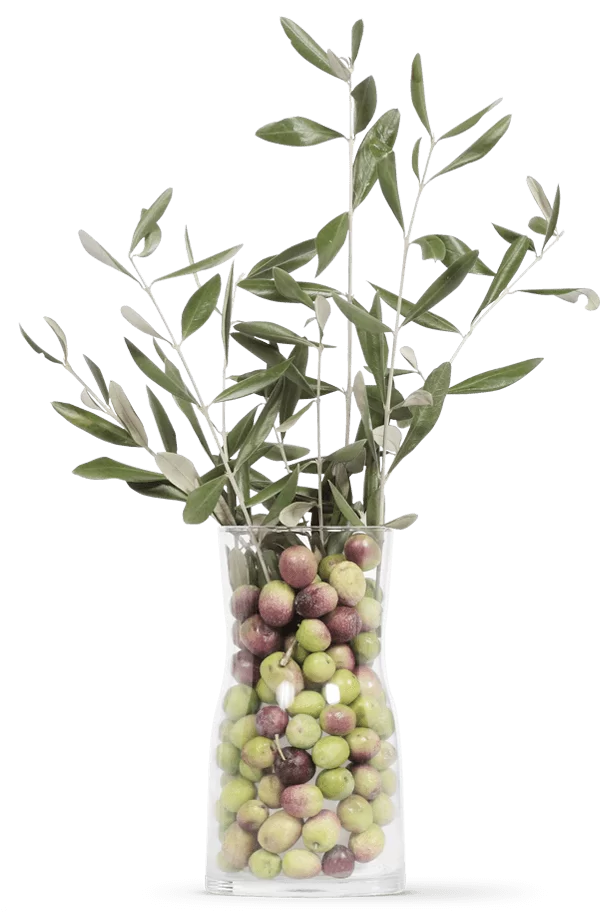 OLIVIE POWER UP - Rare Healthy Pearls... (100 grams)