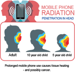 WaveRider - EMF Protection (MRET technology) - Uno Vita AS